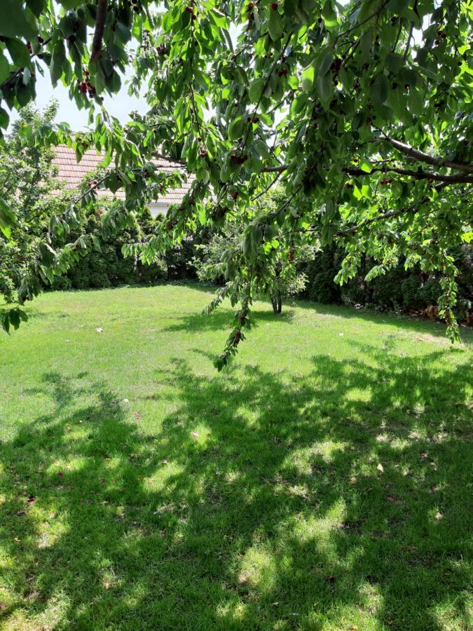 Eisenstadt Apartments Екстериор снимка